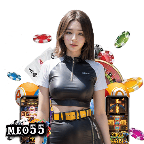 meo55 เข้าสู่ระบบ